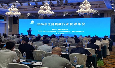 2020 National caustic soda Industry annual meeting held smoothly 2020 National caustic soda Industry annual meeting held smoothly